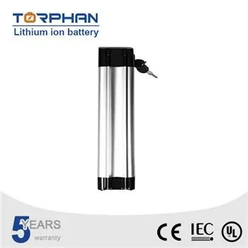 36V Litiu Ion Baterie Pack